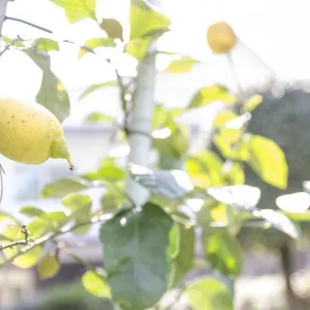 Federica 12p Milano Marittima